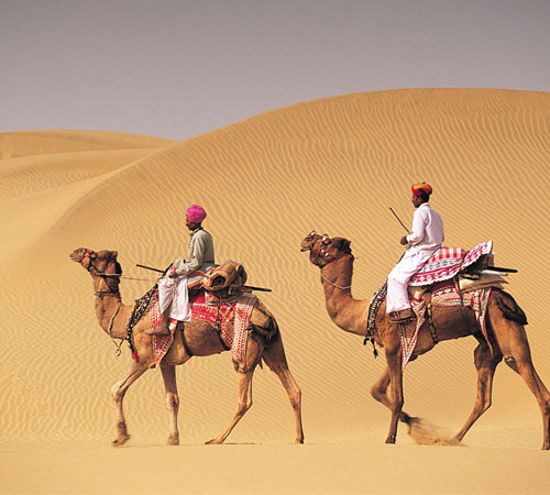 Camel Riding