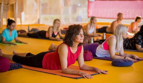 Yoga Session on Request14
